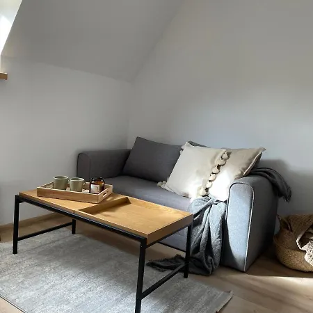 別荘 Mietusowka Dzianisz